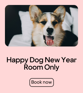 Happy Dog Room Only