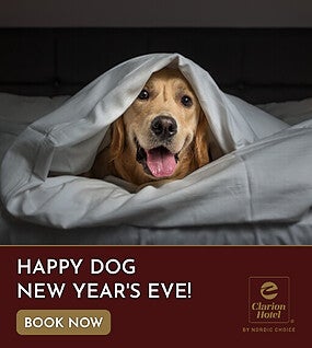 Happy Dog