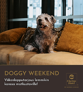 Doggy Weekend