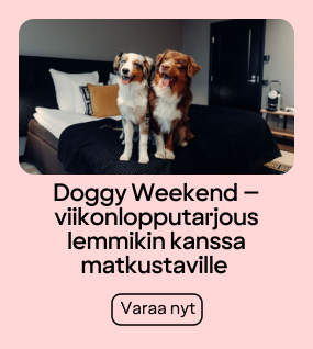 Doggy weekend